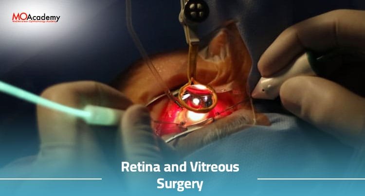 retina and vitreous surgery