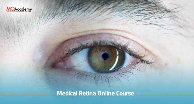 medical retina online course